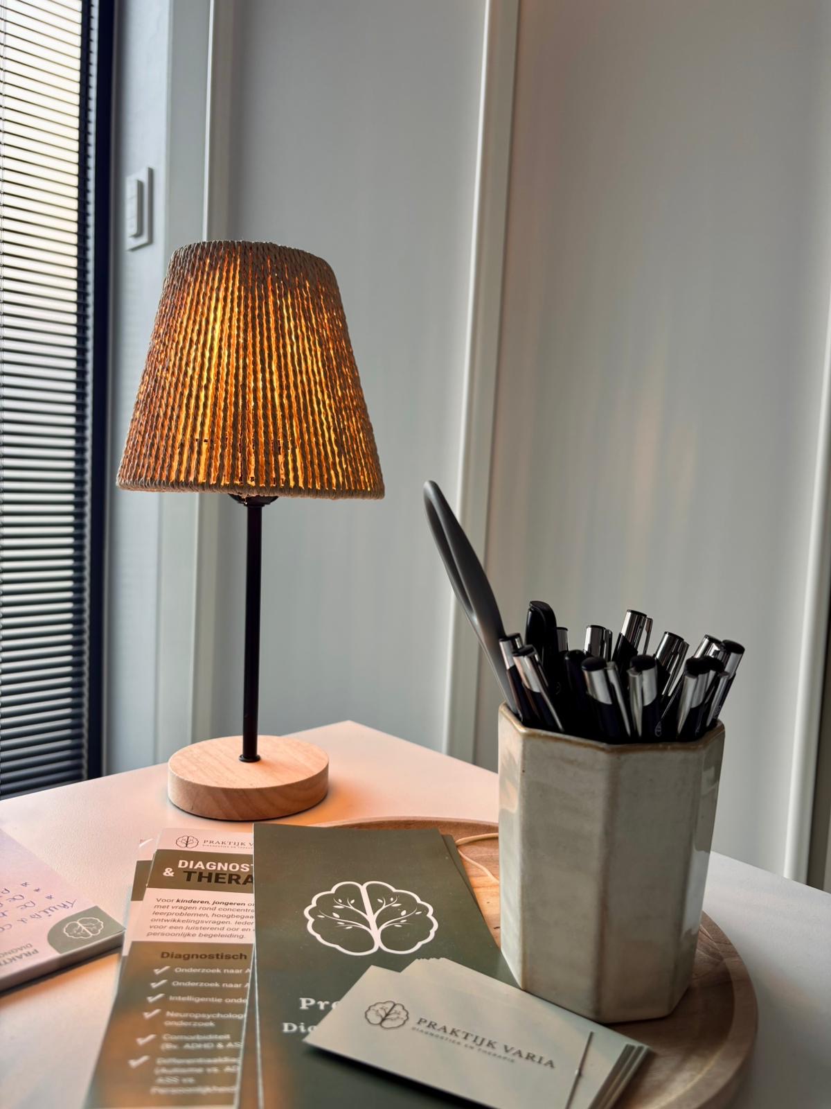 Detail met lamp, pennen en Praktijk Varia brochures
